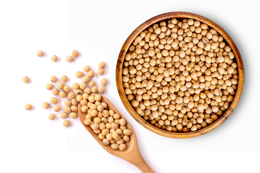 염증의 원인과 염증에 좋은 음식