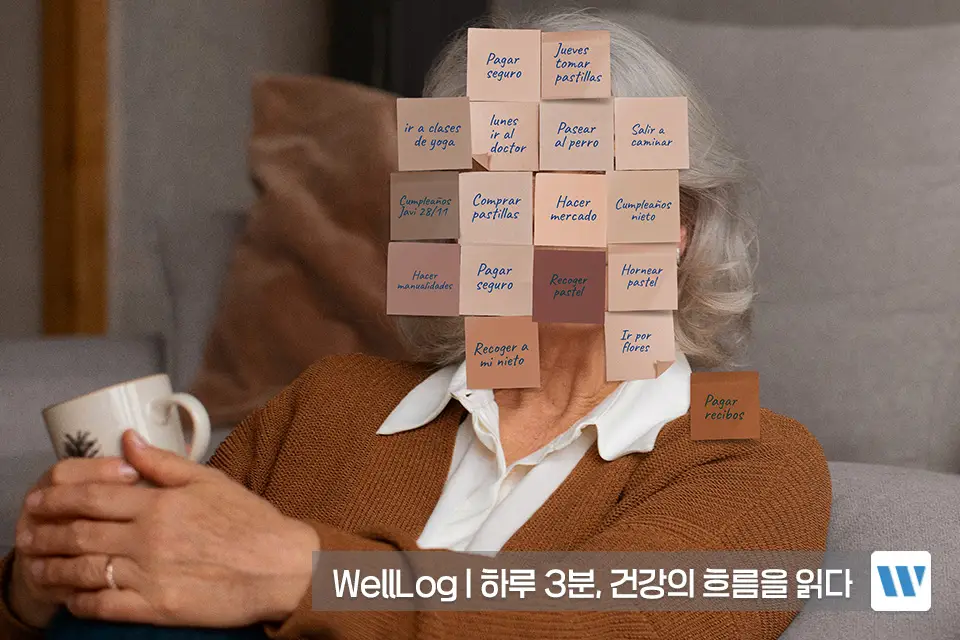 포스파티딜세린 효능 효과