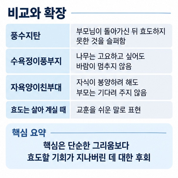 풍수지탄 수욕정이풍부지 자욕양이친부대 효도는 살아 계실 때의 의미 관계를 비교한 한자성어 인포그래픽