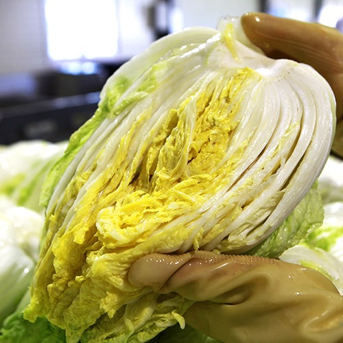 해남절임배추 20kg 구매방법