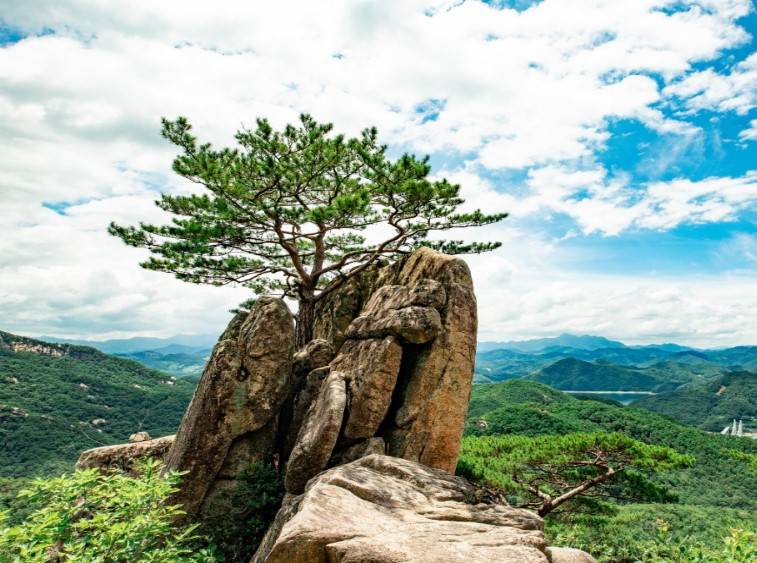 제천시 경제활력지원금 20만원 신청방법