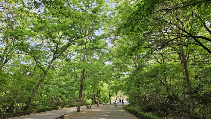 국립수목원 예약