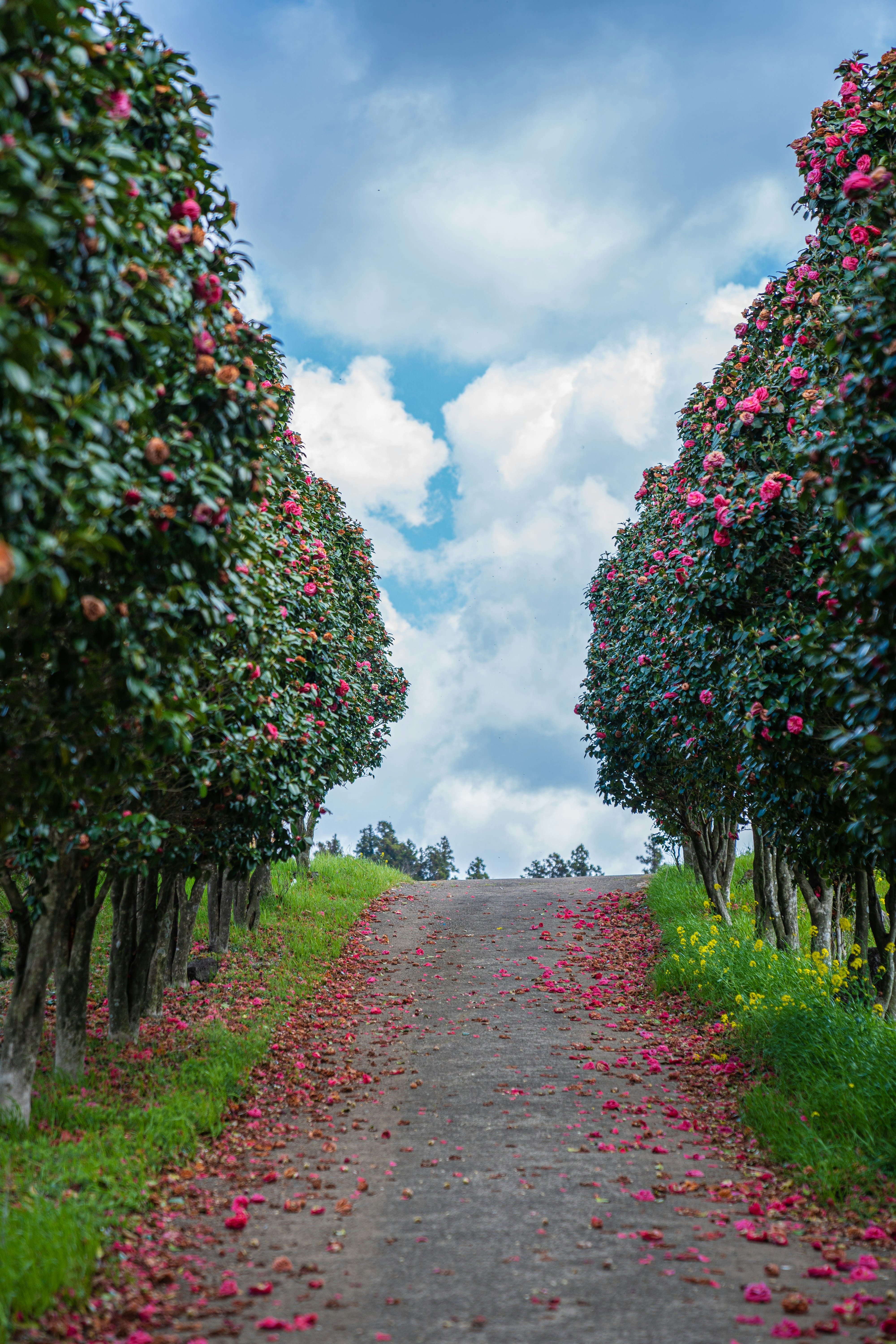 친구들이랑 제주도 다녀온 2박3일 코스 정리 (사진 명소 위주)