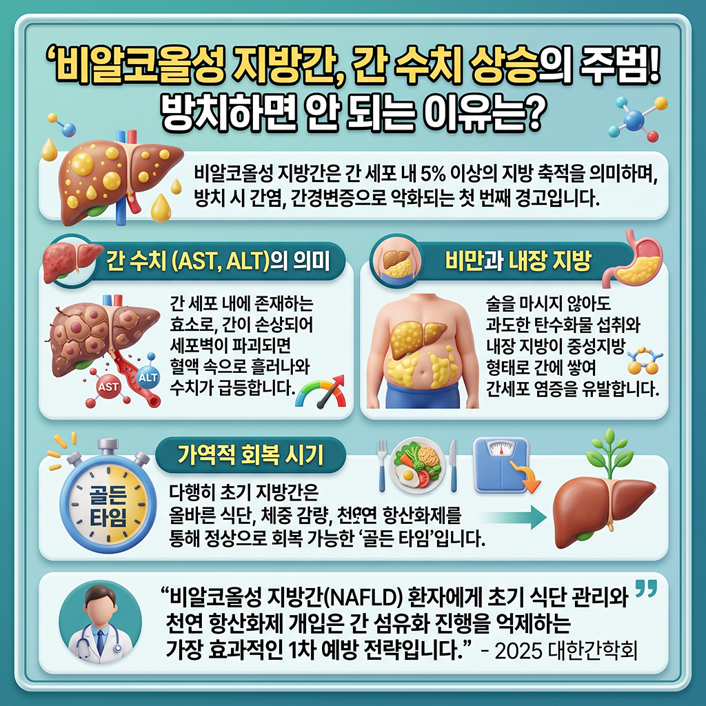 간수치 상승의 주범, 왜 지방간을 방치하면 안 될까?