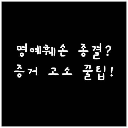 온라인 명예훼손 고소 성공을 위한 증..