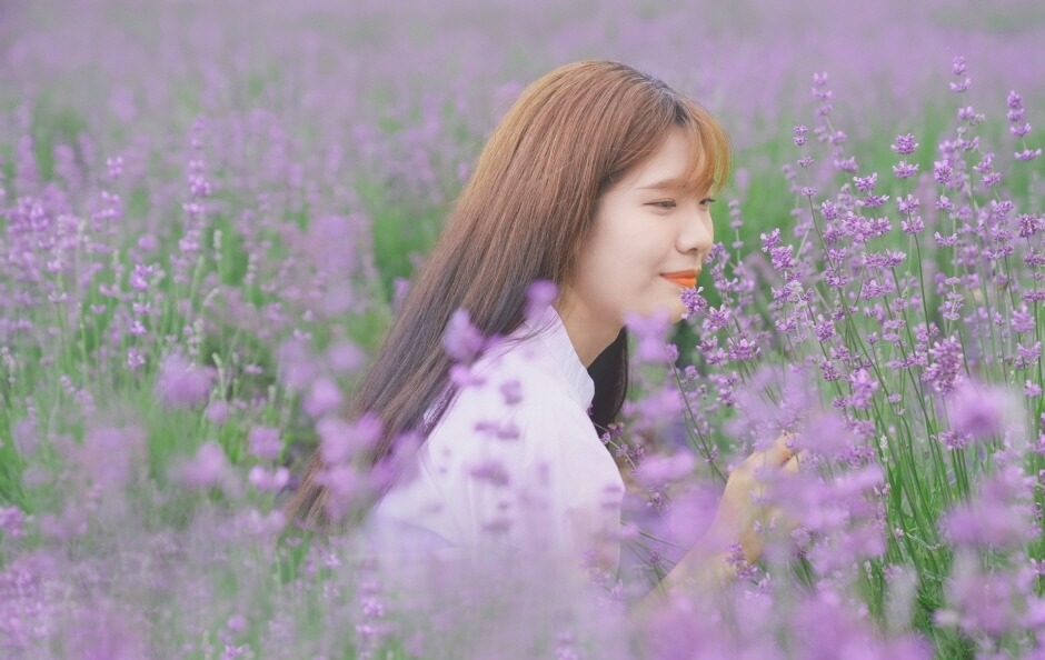 2023 포천 허브아일랜드 라벤더축제 입장료 주차 아이스크림 라떼