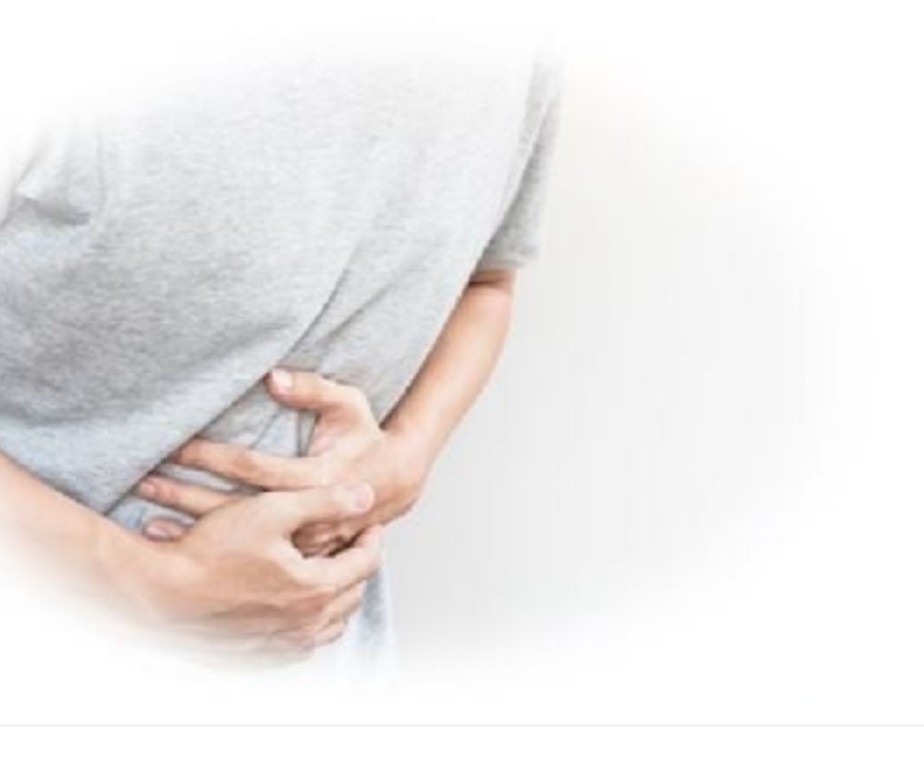 시서스 다이어트