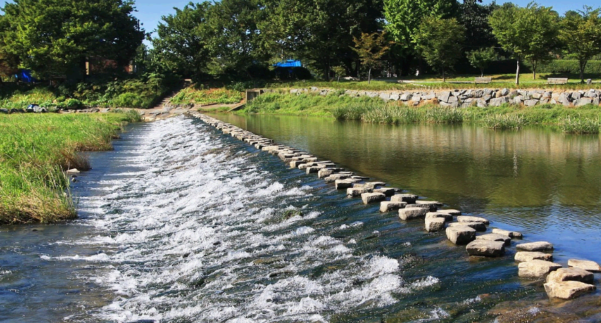 담양군 죽녹원 돌다리