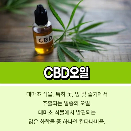 CBD오일