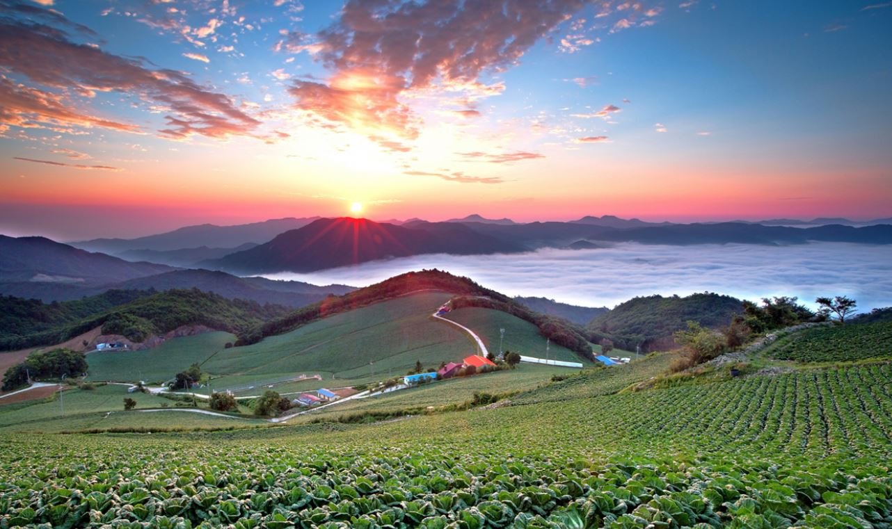 강릉 가볼만한곳 베스트10 여행지