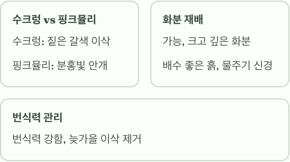 가을 정원의 완성, 수크렁 키우기 A to Z