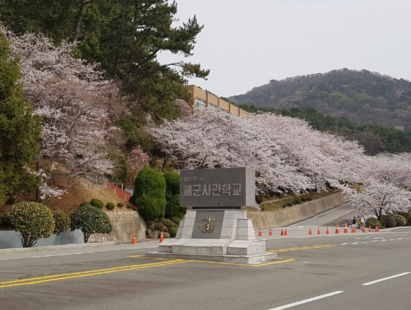 2024 벚꽃 개화 시기와 벚꽃 명소 <진해군항제 정보>