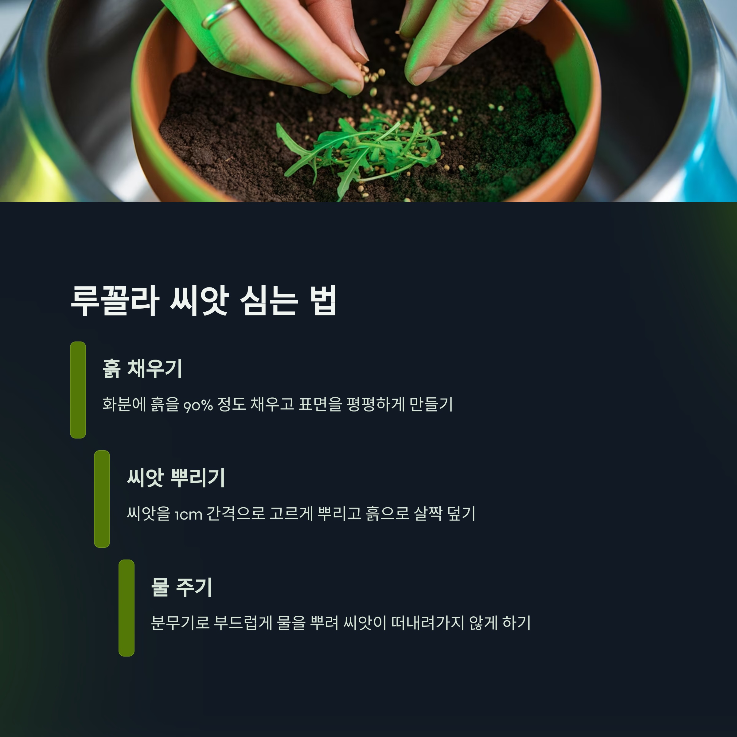 루꼴라 씨앗 심는 법 (단계별 가이드)