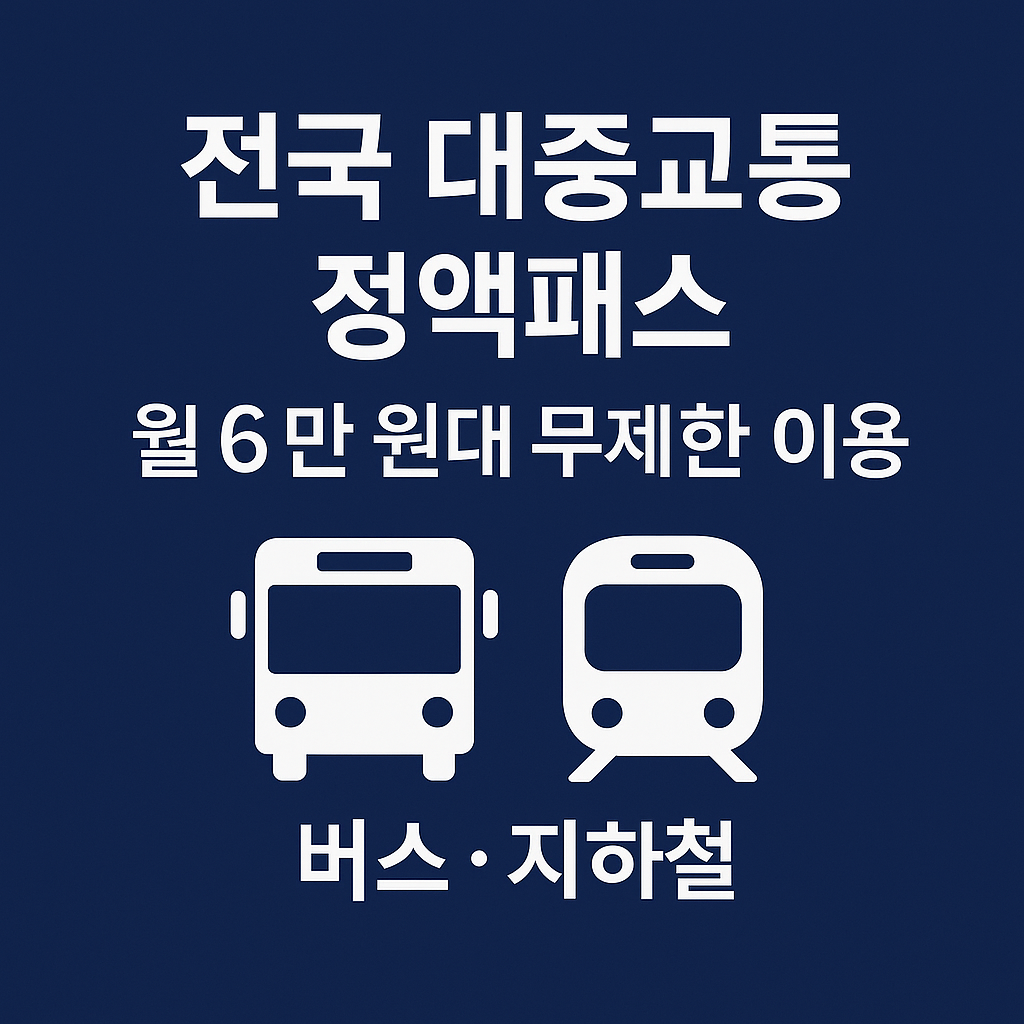 대중교통 정액패스