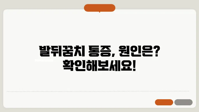 신발의 선택이 발뒤꿈치 건강에 미치는 영향