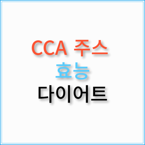 CCA 주스 추천 효능 만드는 법 다이어트 효과