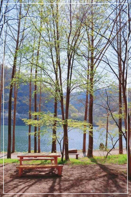 춘천 가볼만한곳 베스트10 남이섬