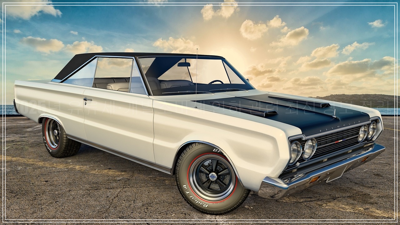 2025년 개별소비세 인하 적용 품목, 자동차 적용 대상 품목 총정리