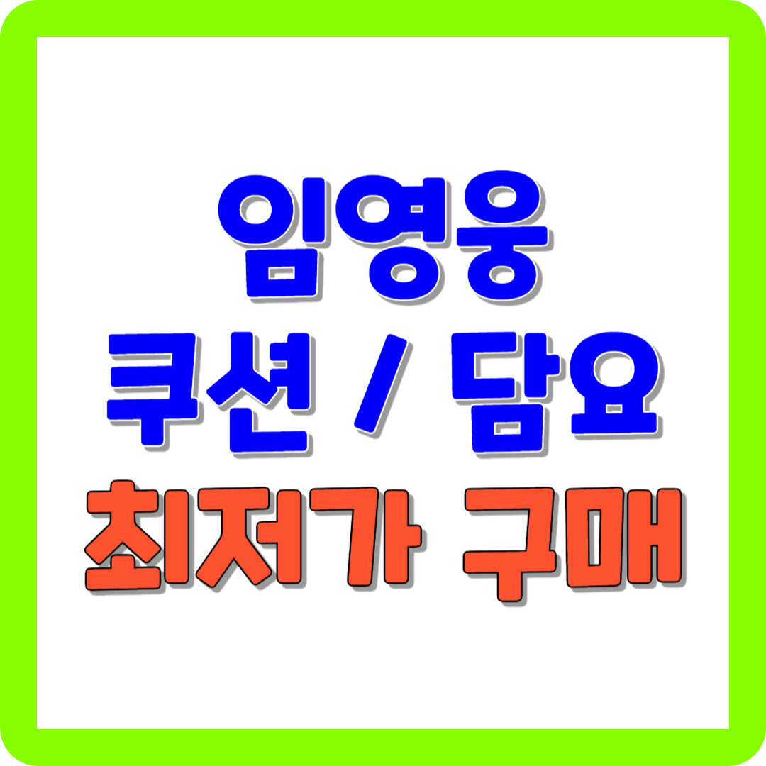 임영웅 쿠션 및 담요 최저가 구매 부모님 효도 선물 추천 사진