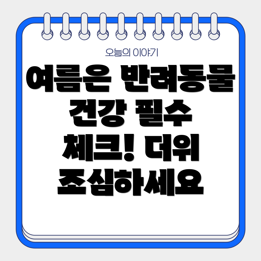 여름 건강 정보