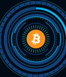 애니메 코인 ANIME