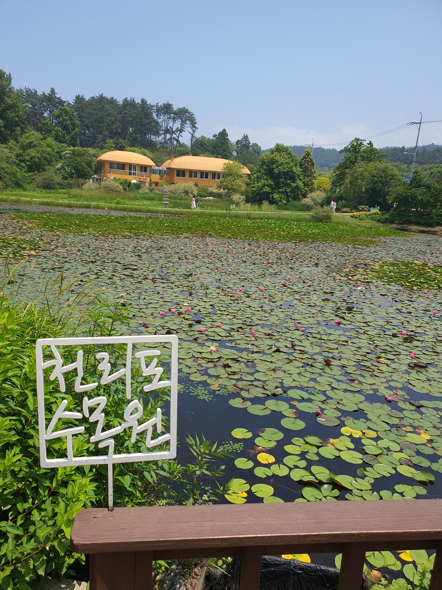 태안 천리포수목원 사진