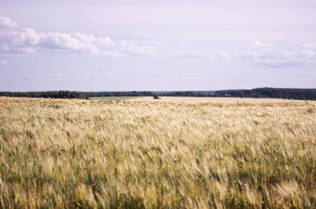 Agricultural land