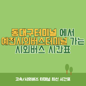 동대구터미널에서 예천시외버스터미널 가는 시외버스 시간표 최신정보