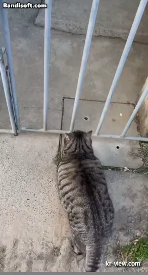 img.webp?credential=yqXZFxpELC7KVnFOS48ylbz2pIh7yKj8&expires=1767193199&allow_ip=&allow_referer=&signature=USAbH3LC18GGxP3Y5XGnke6kBCs%3D