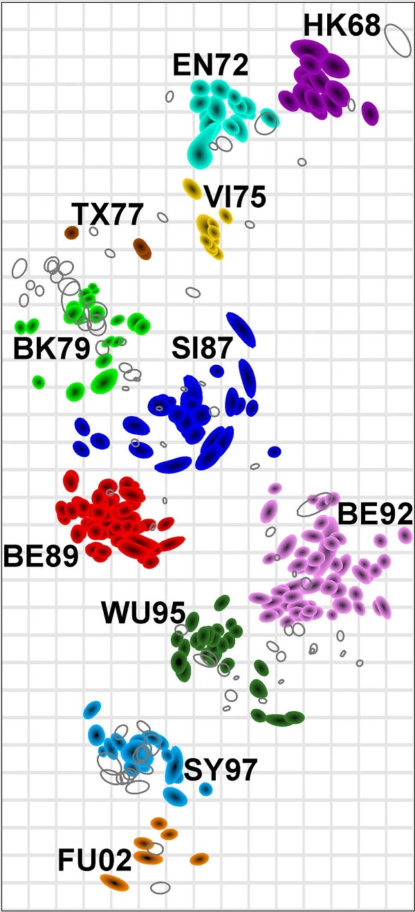 바이러스의 진화를 알 수 있는 항원 지도...오미크론은 완전 별종 VIDEO:THE ALGORITHM THAT MAPPED OMICRON SHOWS A PATH FORWARD