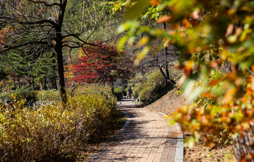 강릉솔향수목원