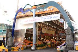 제주도 한 달 살이 체험기