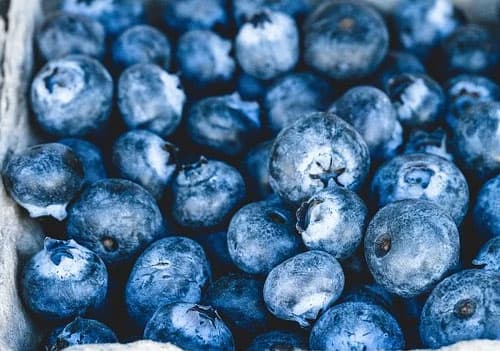 콩팥에 좋은 음식 블루베리