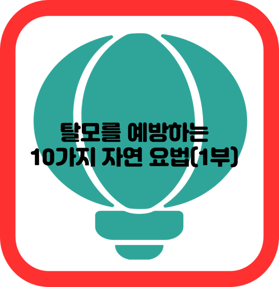 탈모를 예방하는 10가지 자연 요법(1부)