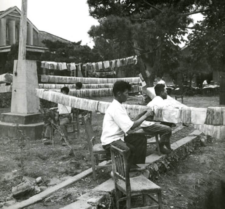 대한민국 태풍사라 피해