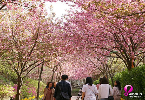 대전오월드