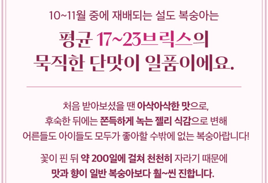 6시내고향-함양-설도-복숭아