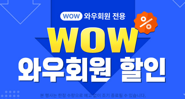 쿠팡 블랙프라이데이