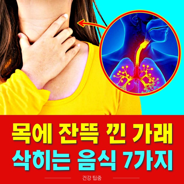 가래 삭히는 음식, 가래 없애는 방법, 건강 팁줌 매일꿀정보