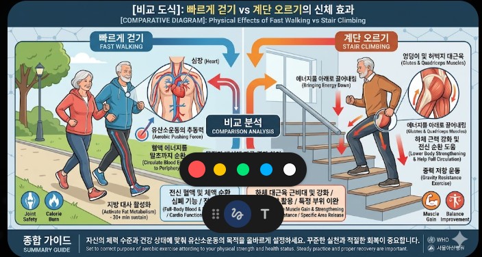 계단오르기와 빠르게 걷기의 신체 효과 차이
이미지출처: Gemini AI 생성