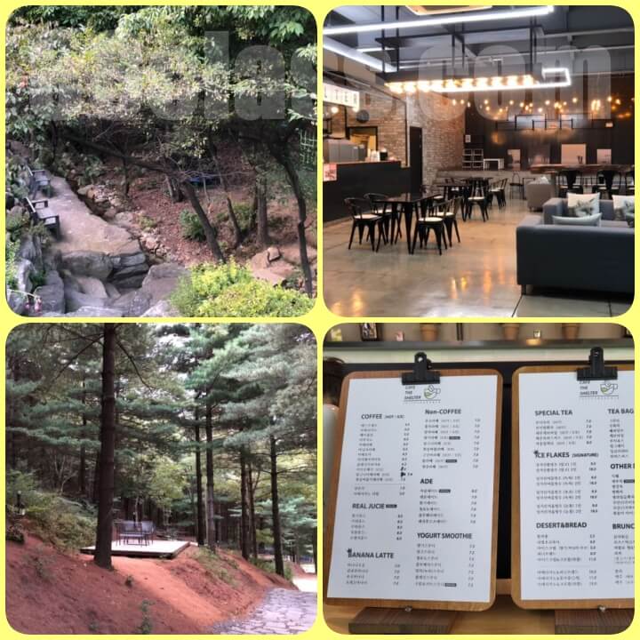 천안 성거-더쉘터 카페