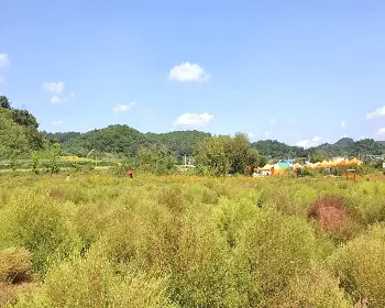 임진강 댑싸리공원_22