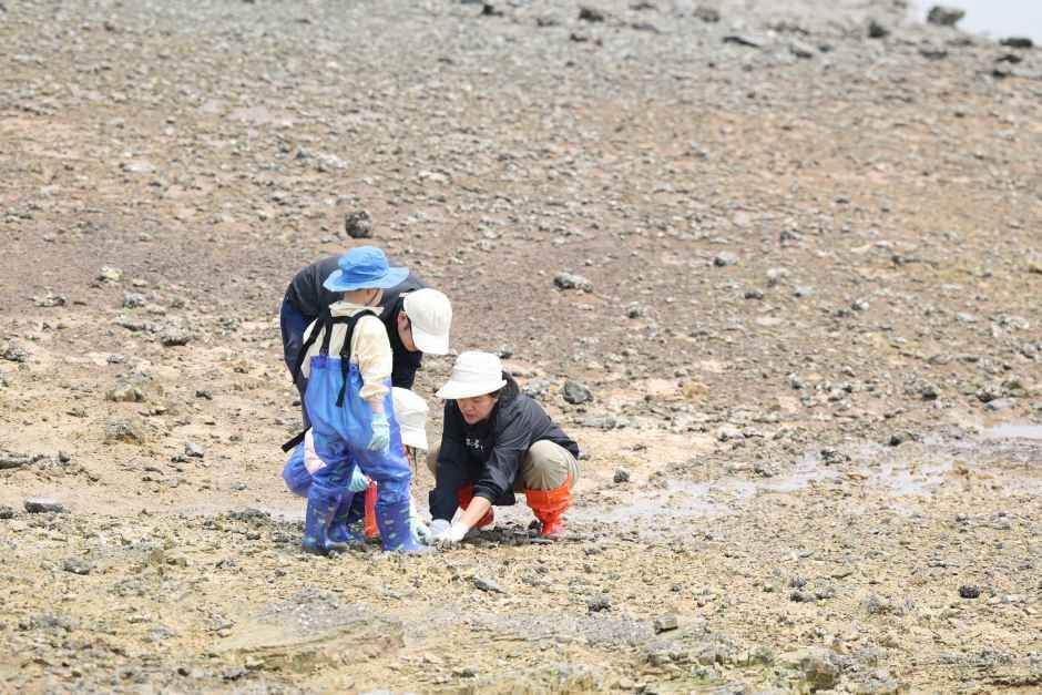화성 뱃놀이 축제 일정, 먹거리 총정리