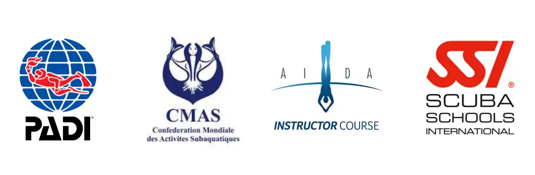 프리다이빙-단체종류