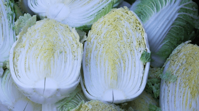 가을에 심는 작물