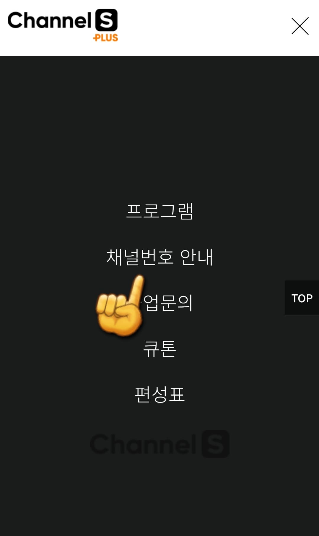 CHANNEL-S-PLUS(채널S-플러스)-편성표-및-채널번호-확인-방법-안내-그러고-나서-두-번째-줄에-있는-채널번호-안내를-선택하면-IPTV,-위성,-케이블별로-채널-정보를-알-수-있는데요.