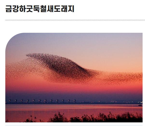 서천 홍원항 자연산 전어꽃게 축제