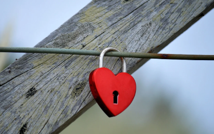 나뭇가지에 걸린 하트자물쇠