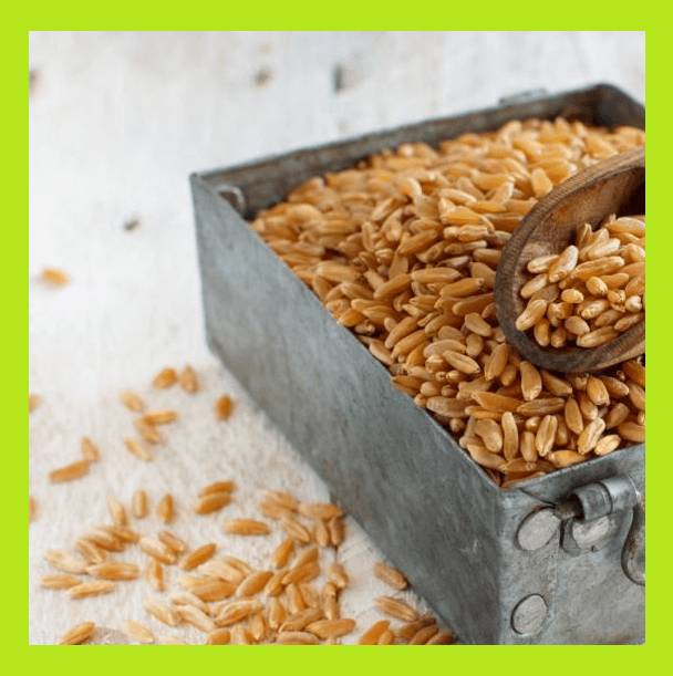 박스안-카무트-곡물