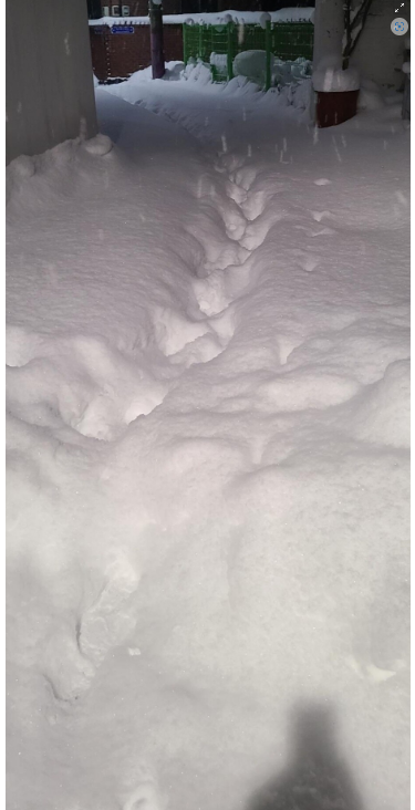 쿠팡맨이_배송중_올린_눈쌓여있는_사진(1)